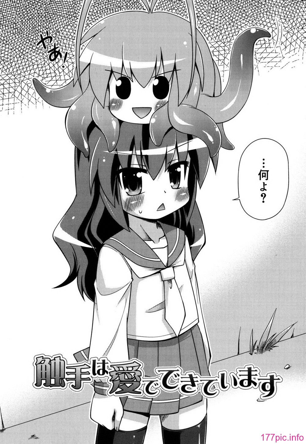 chaostic_0028