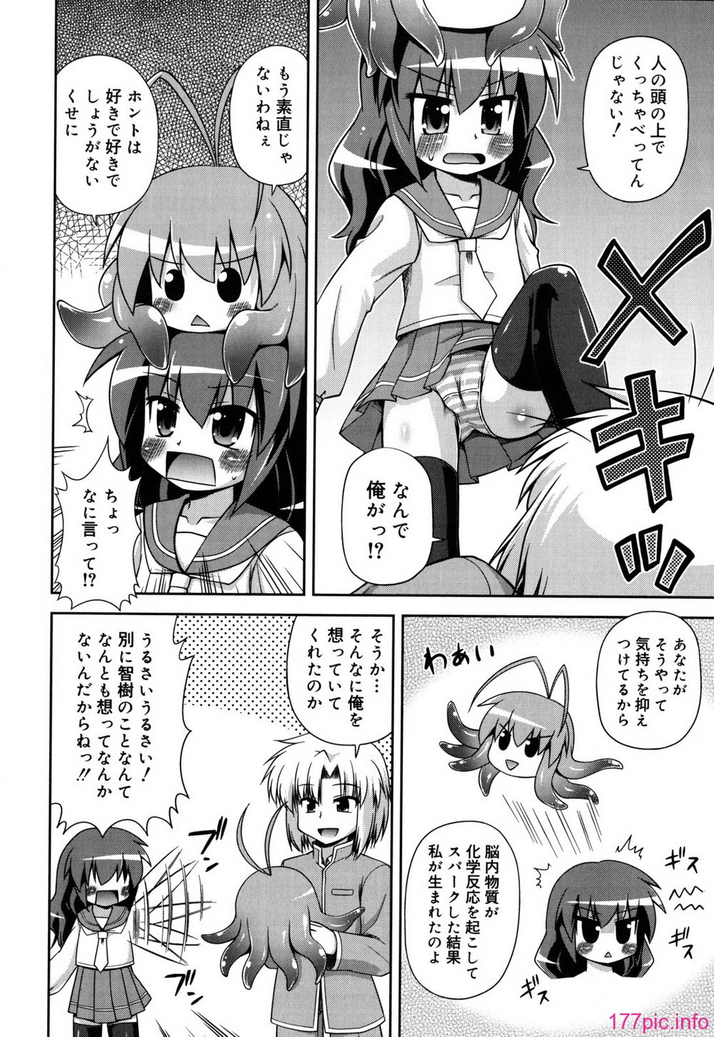chaostic_0030