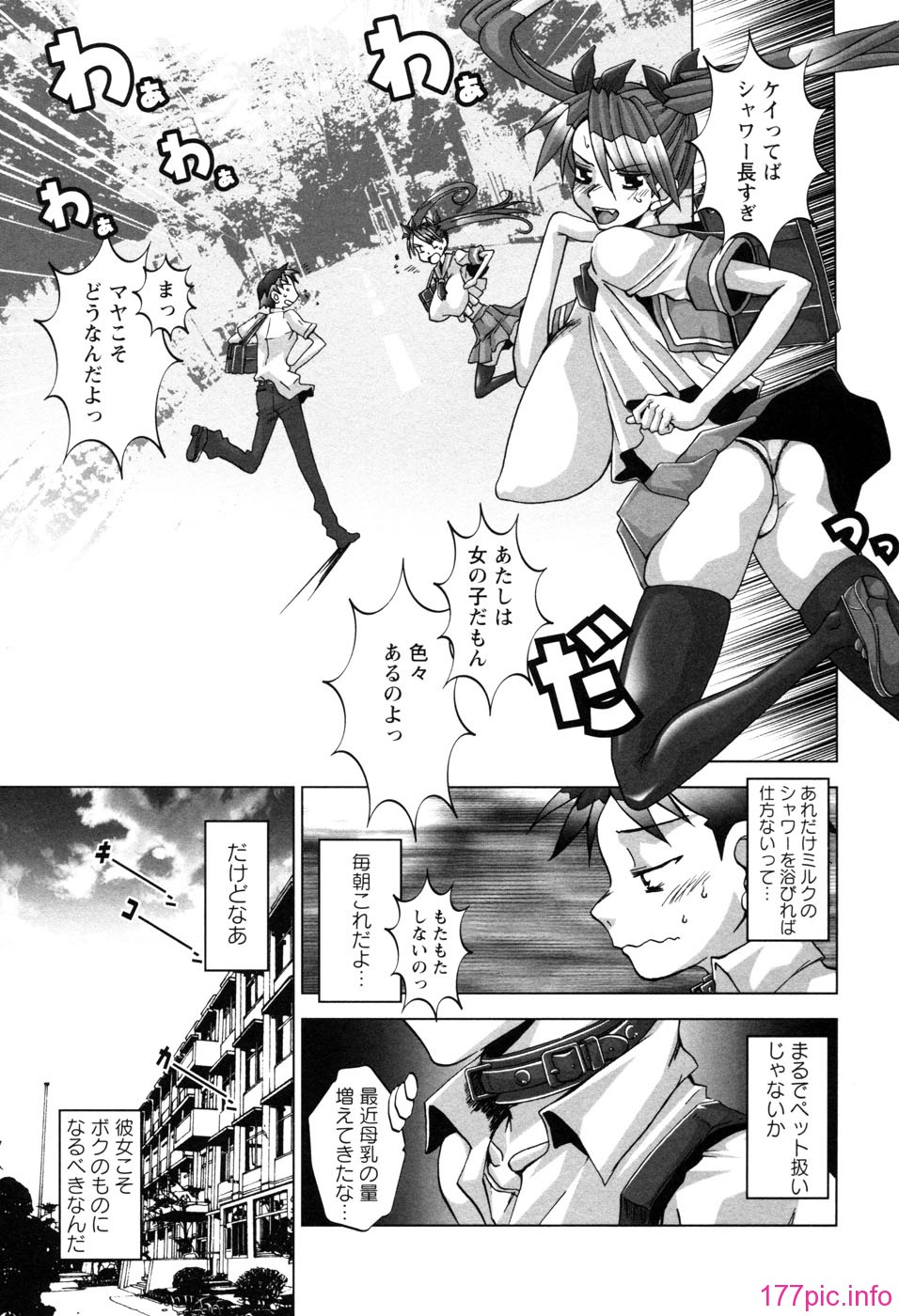 chichikano155