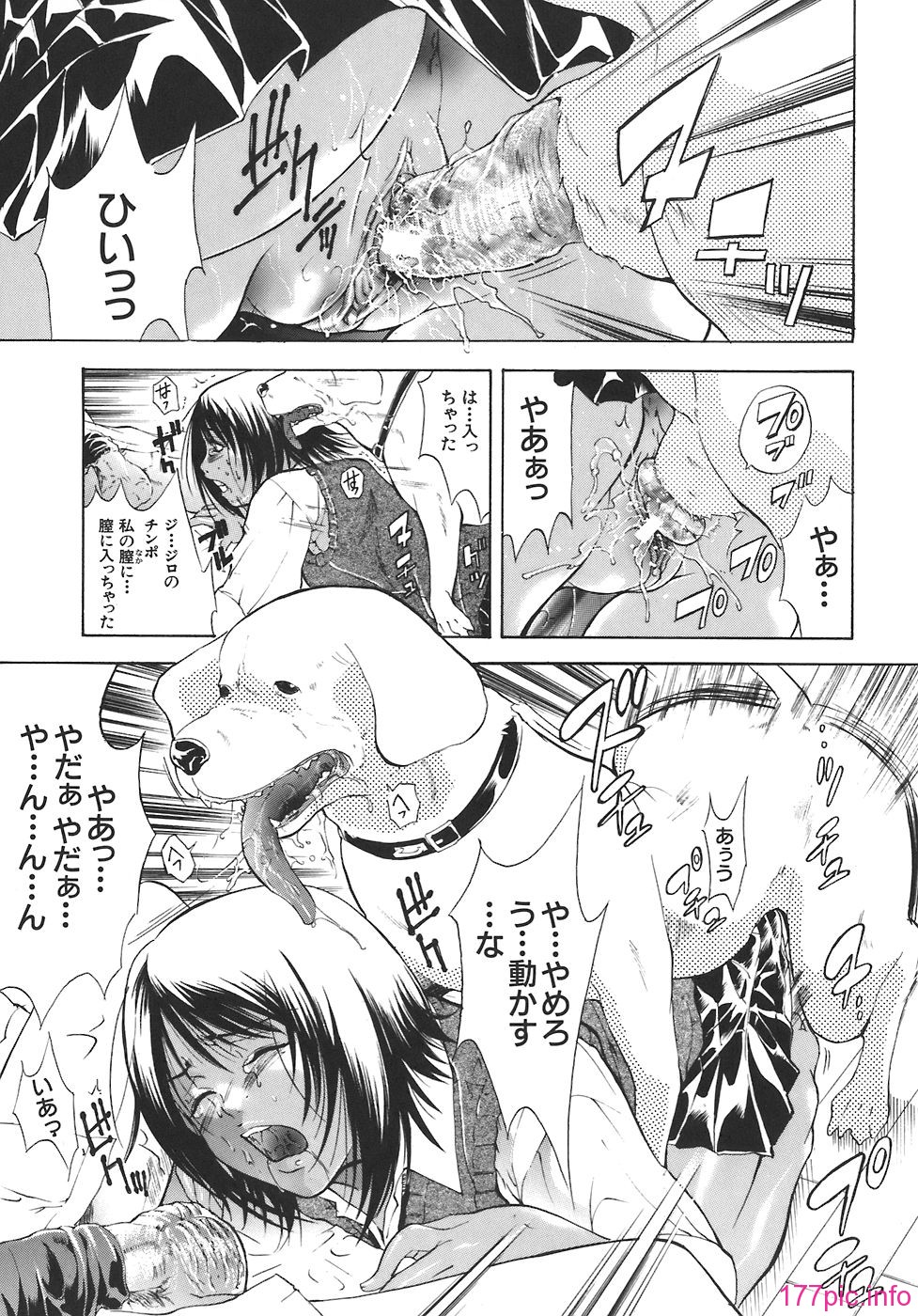 yugami_141