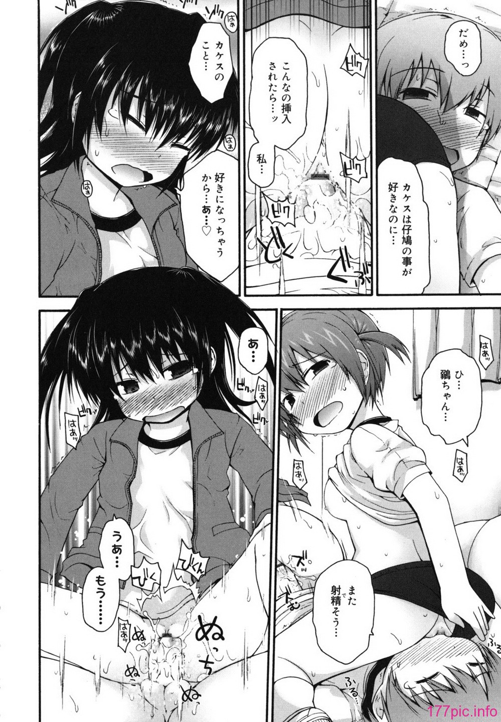 singakki_0106