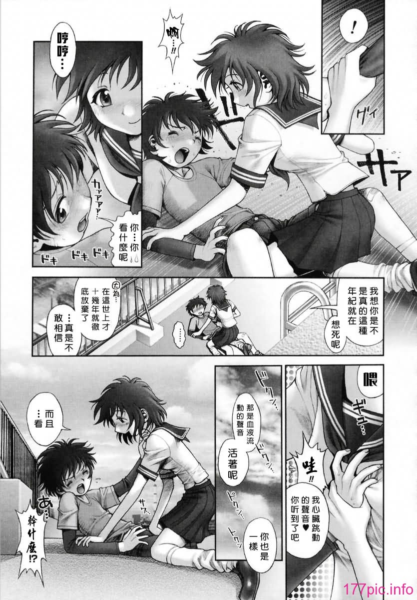 Free_019_049
