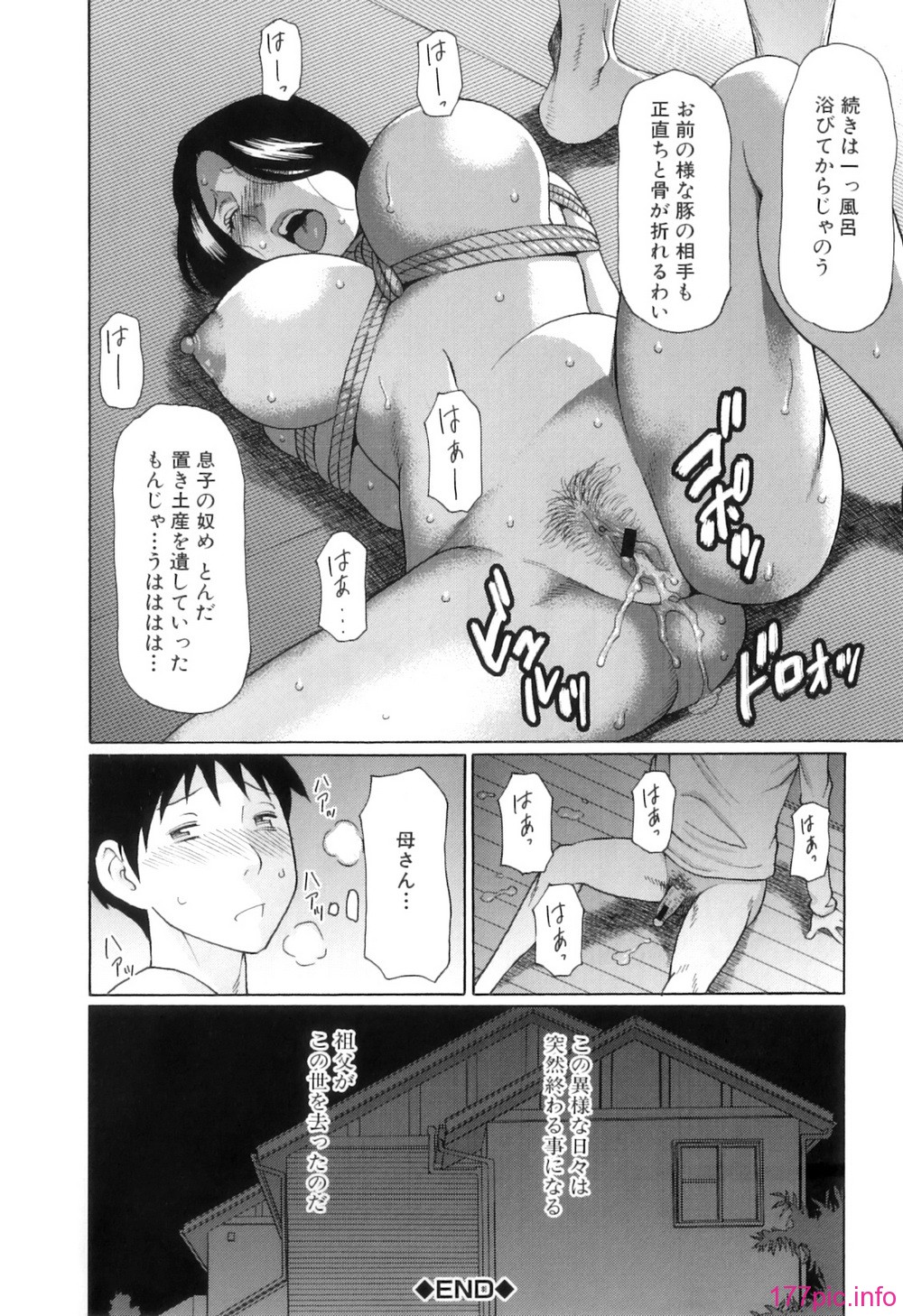 Ore no Hahaoya_033