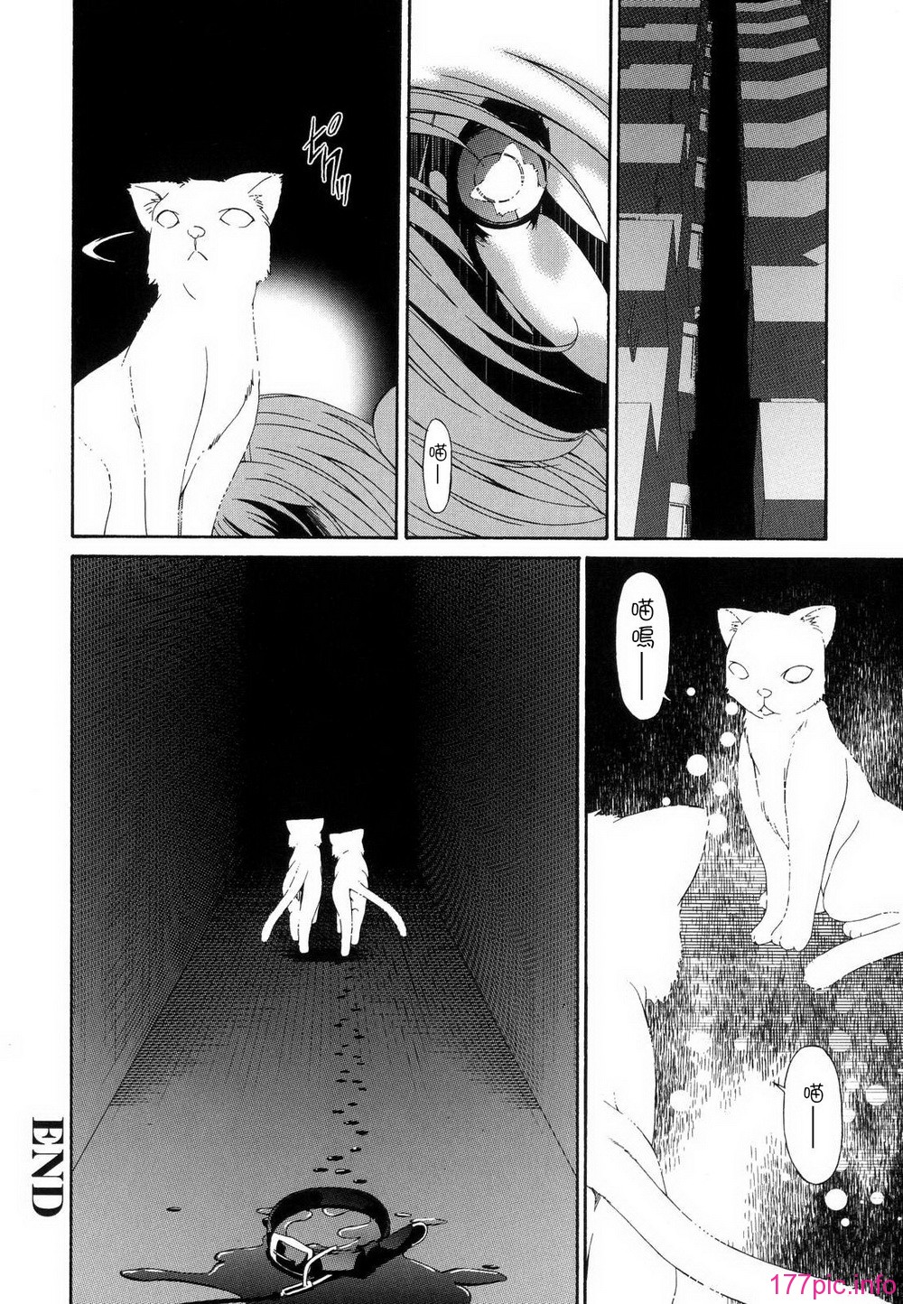 M.F.S_022_1_244
