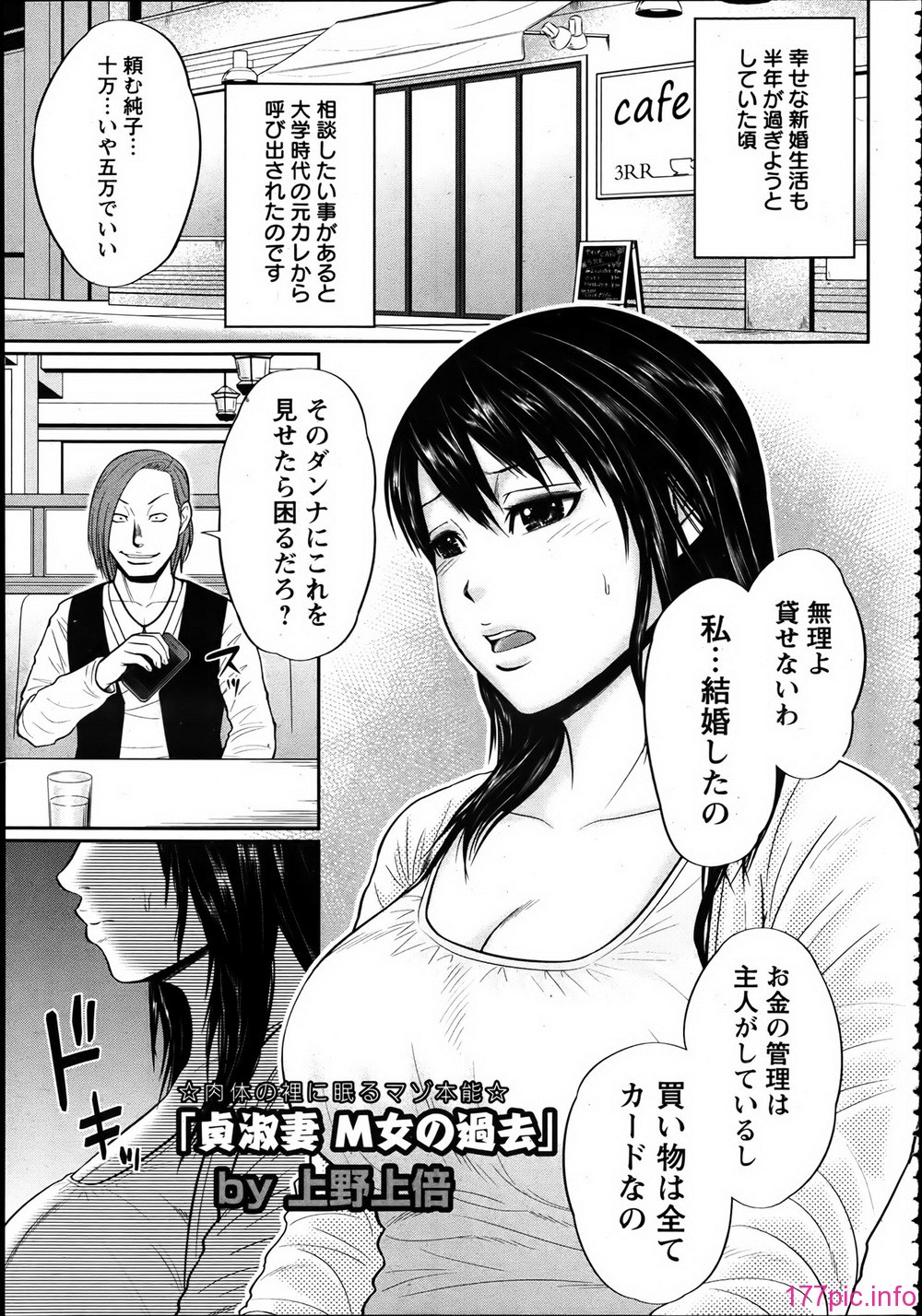 P333