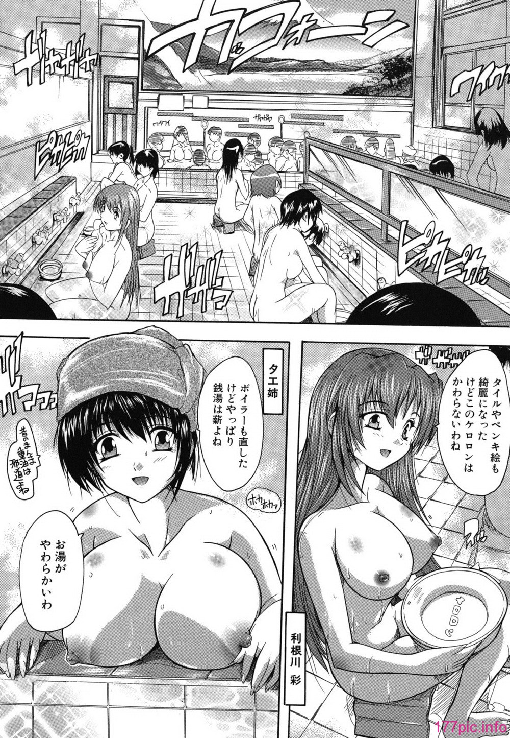 furo_0217