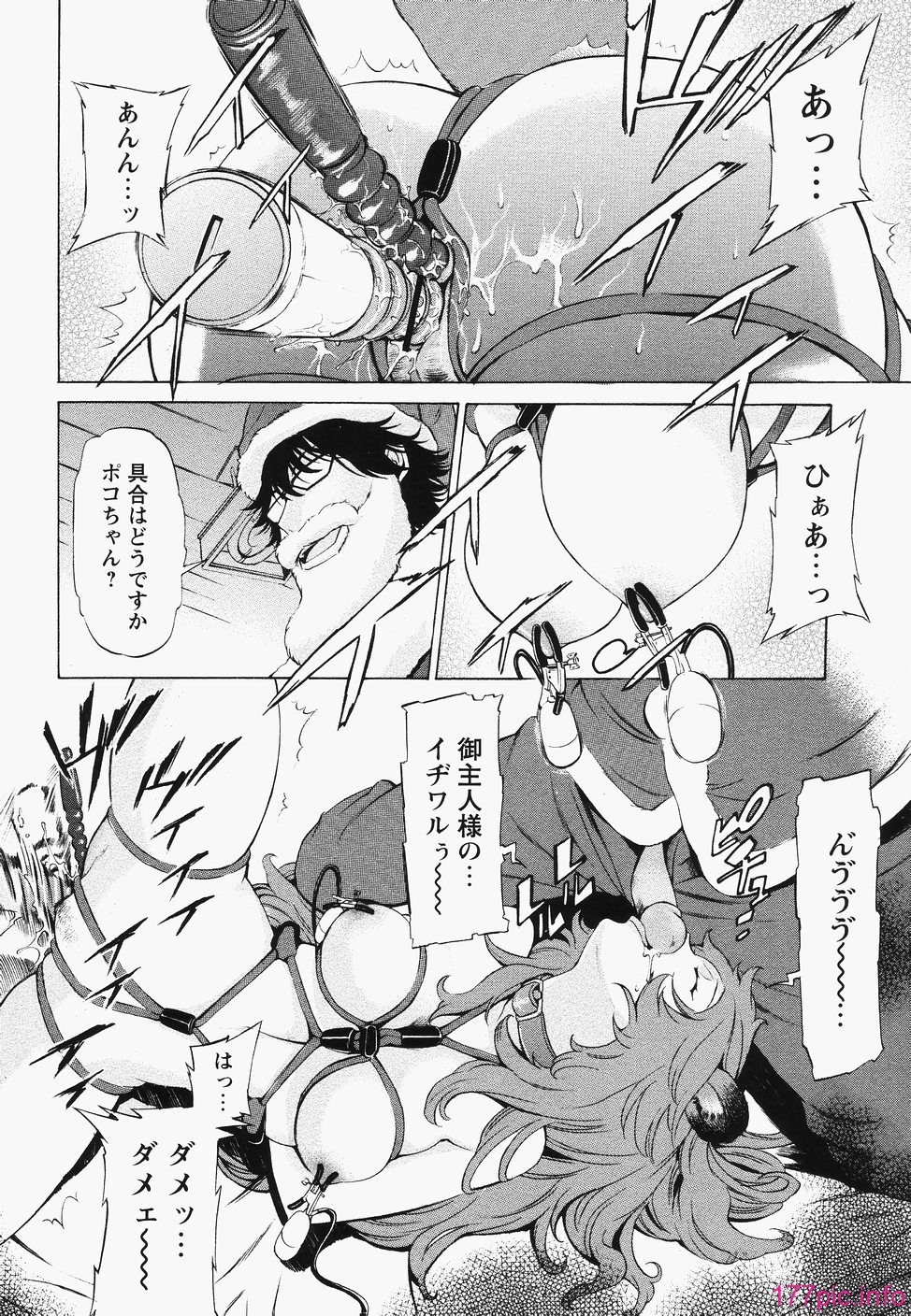poko_036