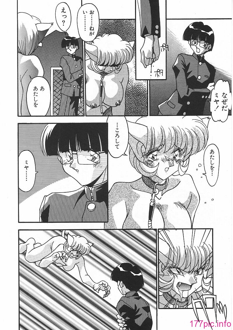 081