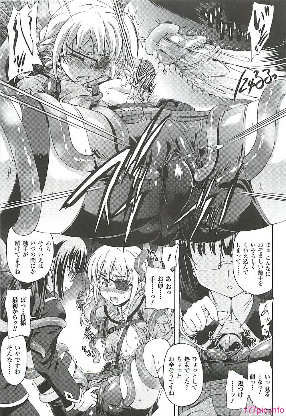 images036