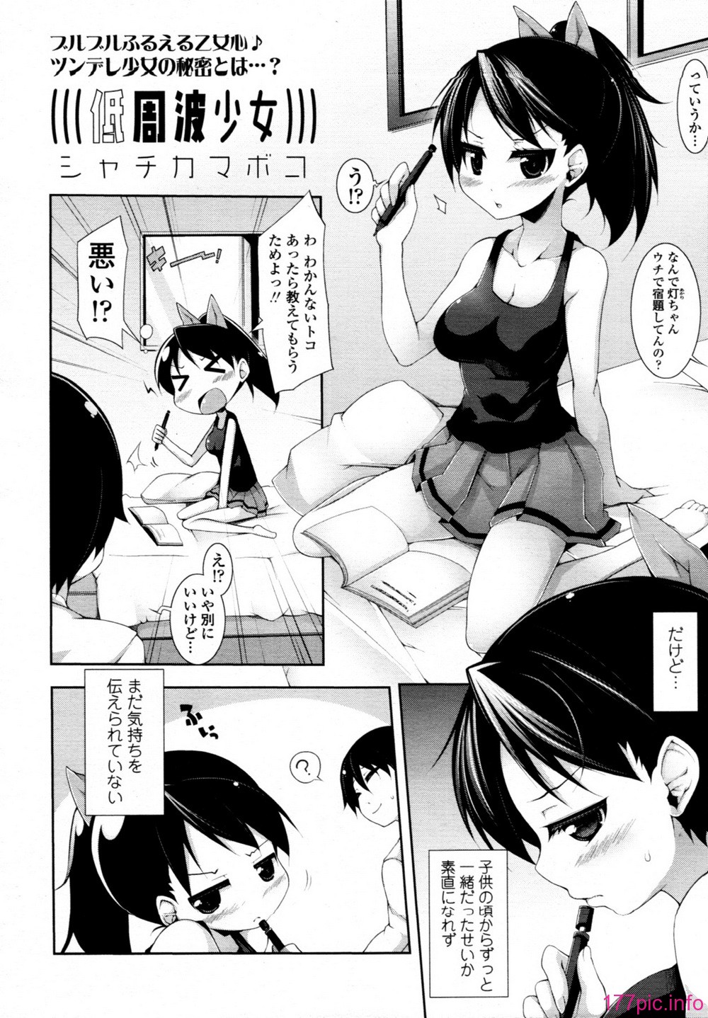 TENMA_201107_233