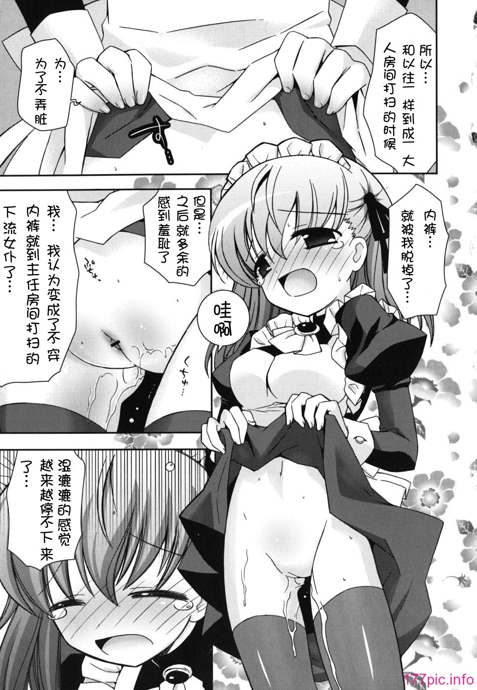 imo_0065