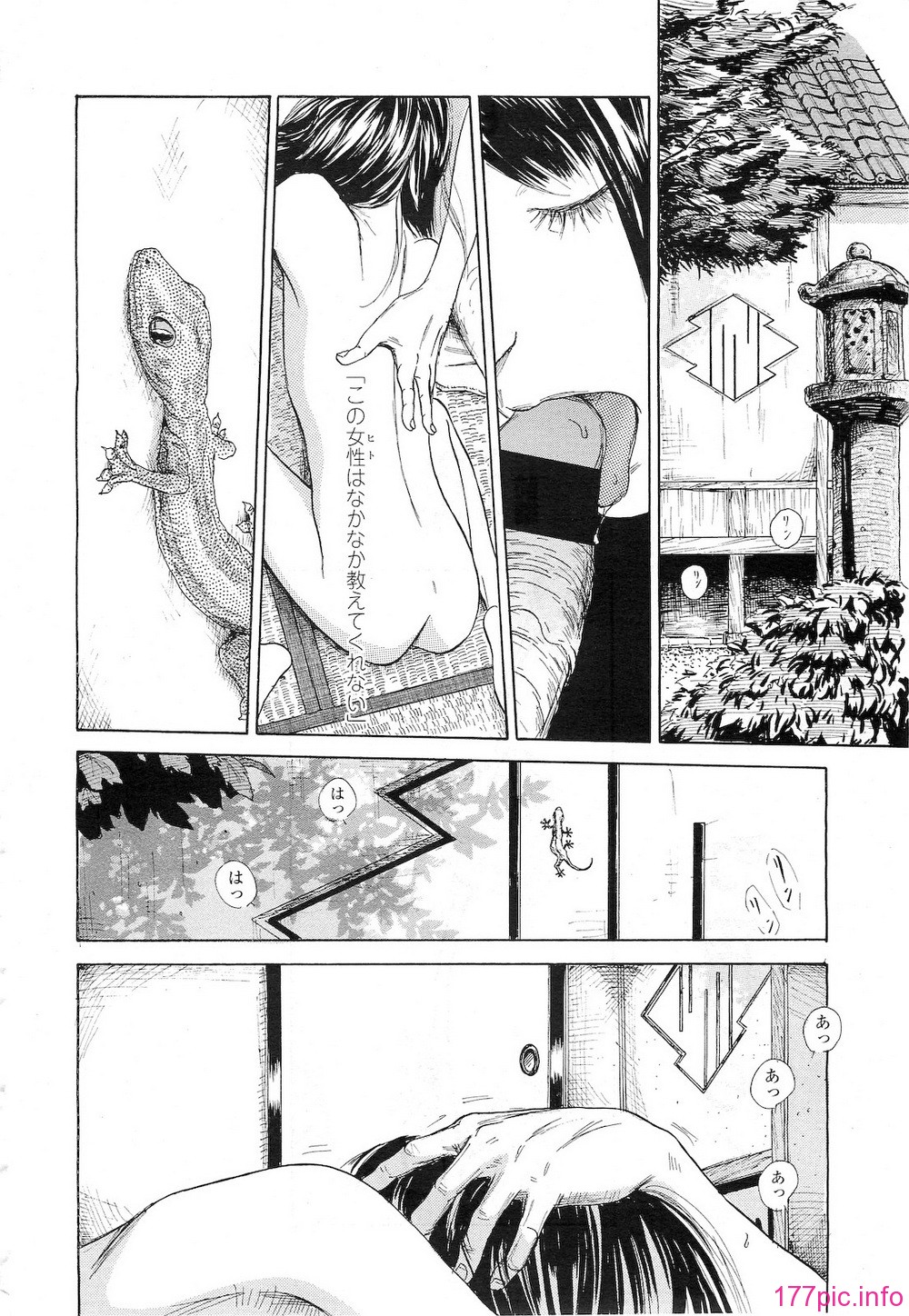 036