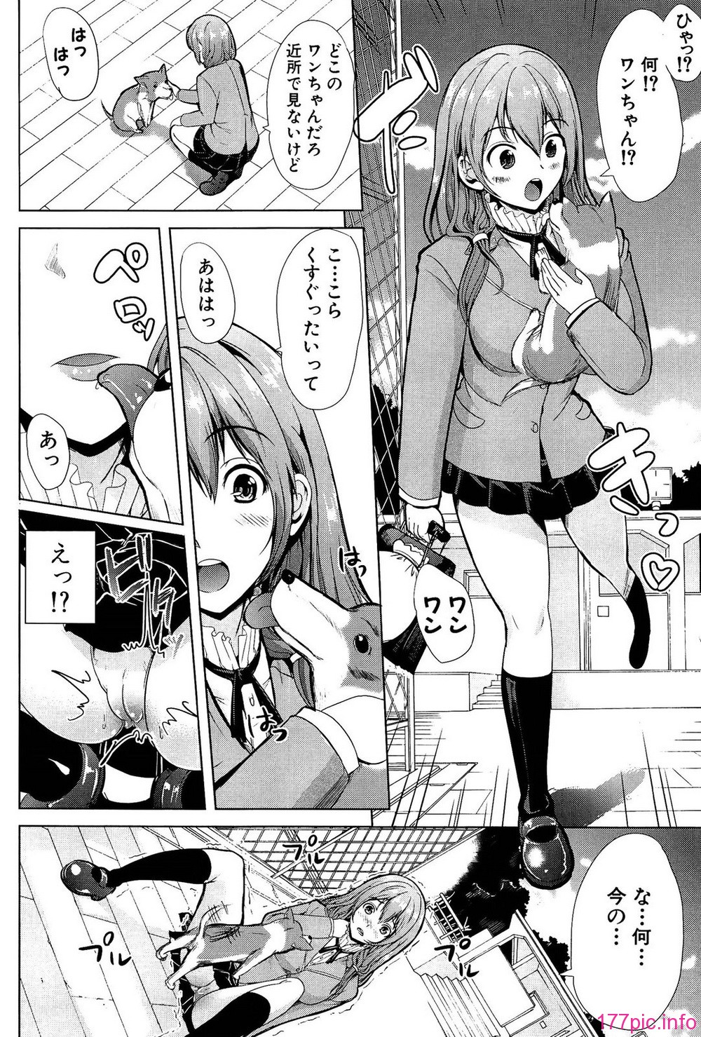 016