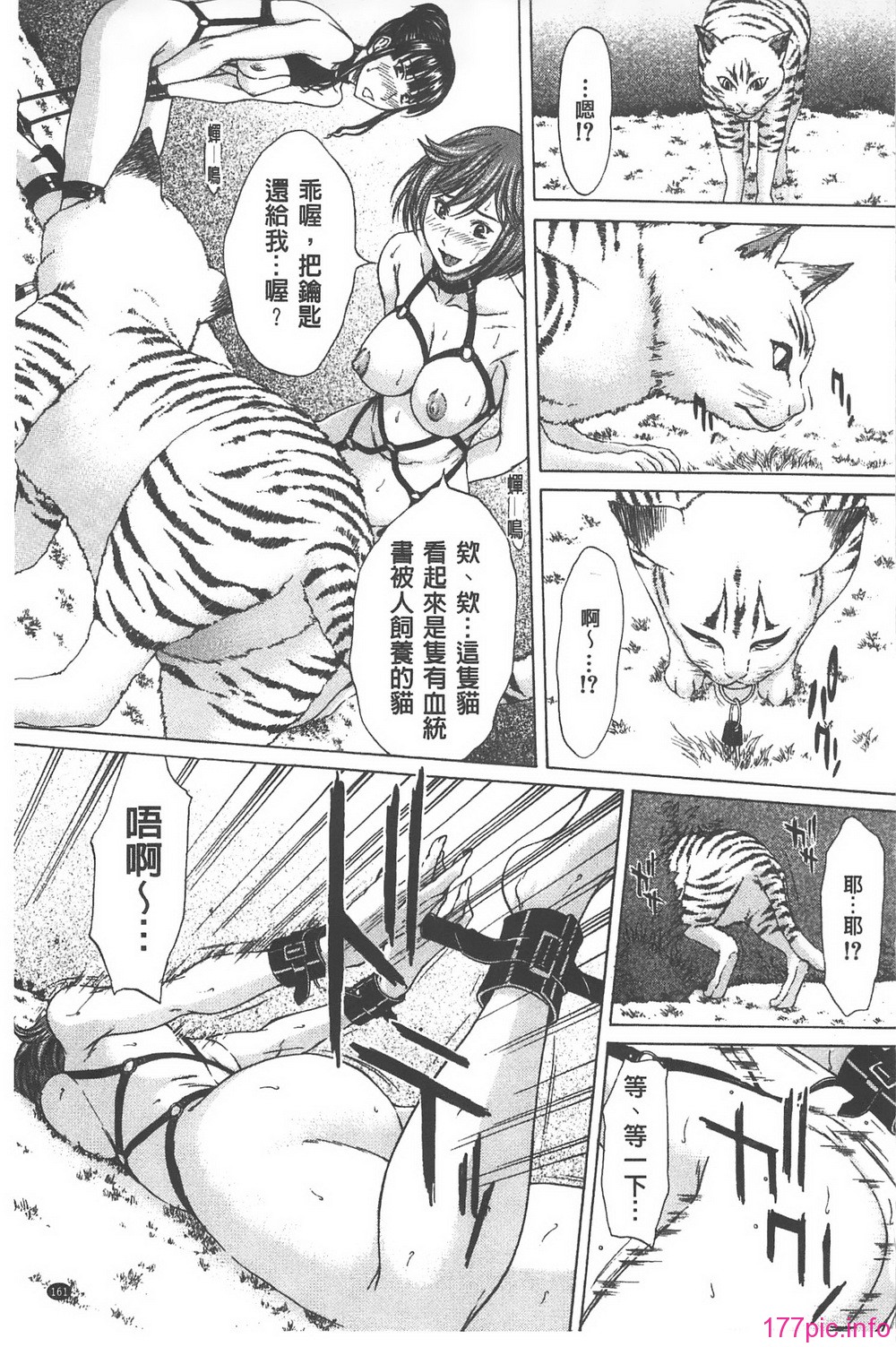161