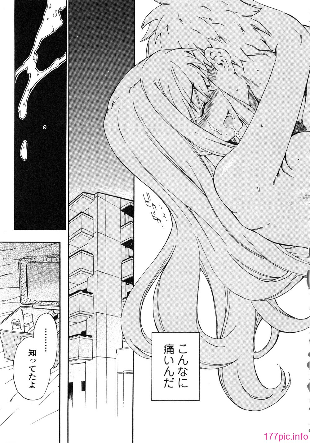 155_Izumi531_147