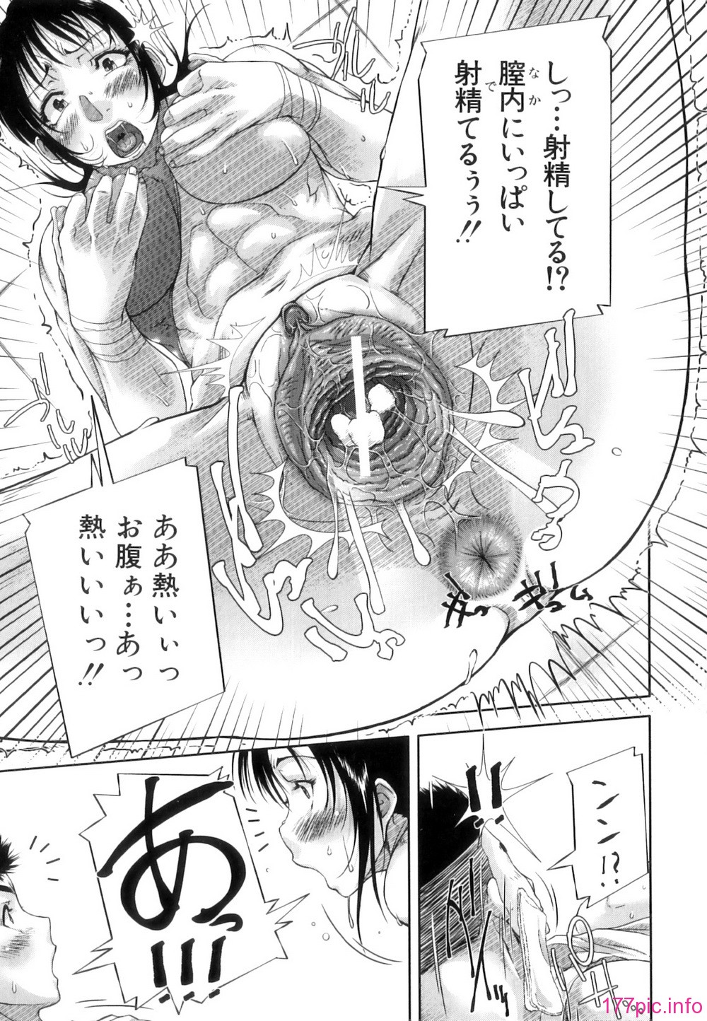 Seishokuki_048