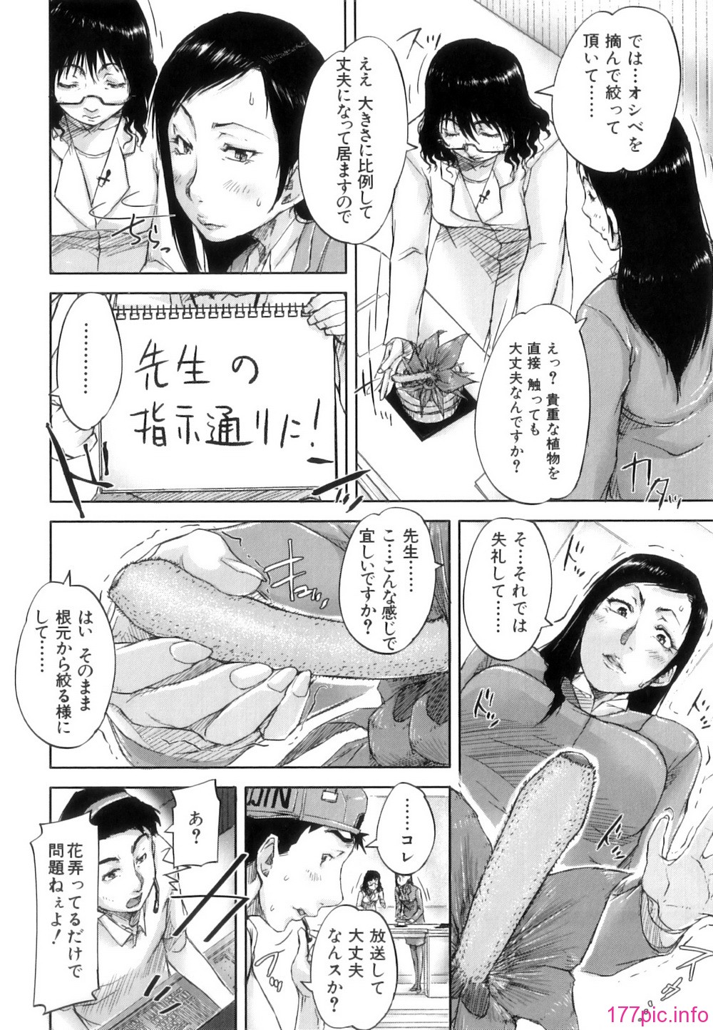 Seishokuki_066