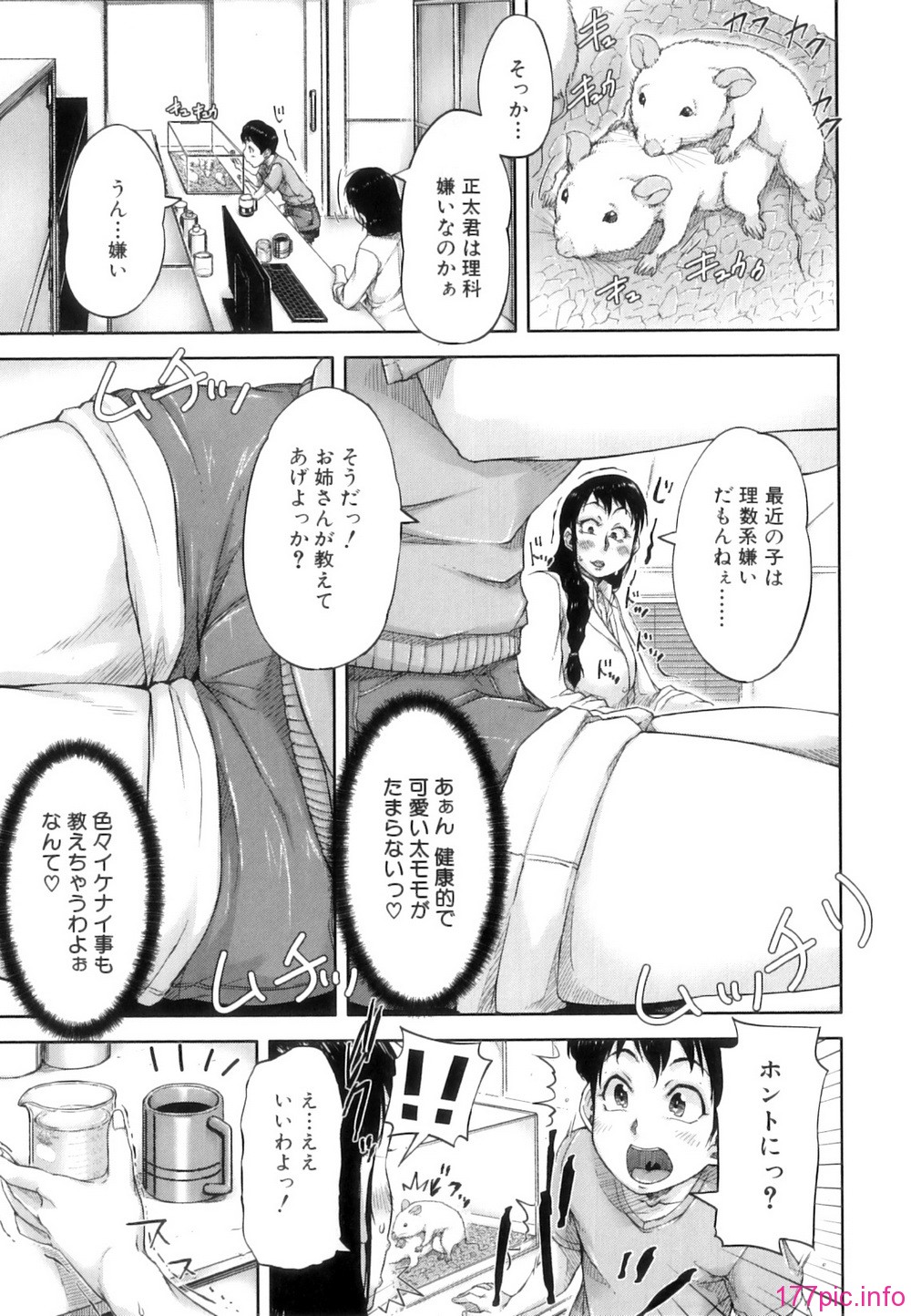 Seishokuki_096