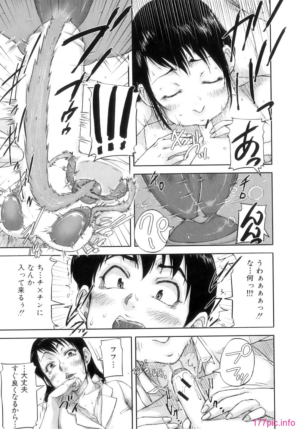 Seishokuki_102