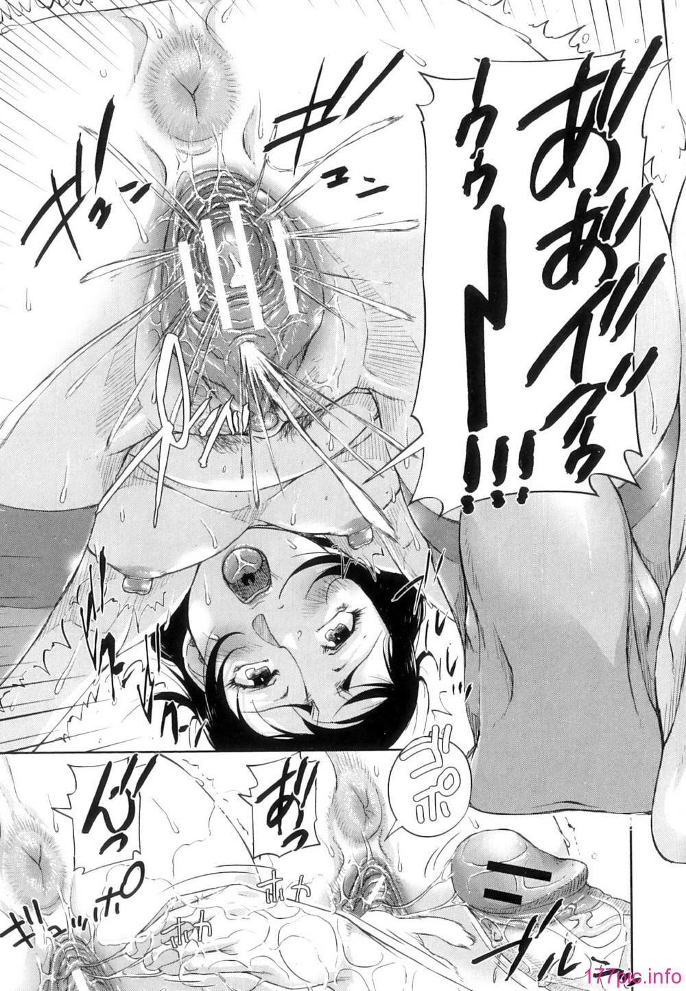 Seishokuki_120