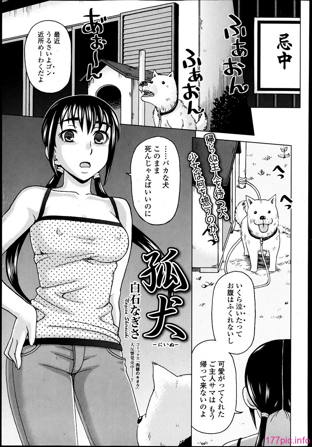 P235