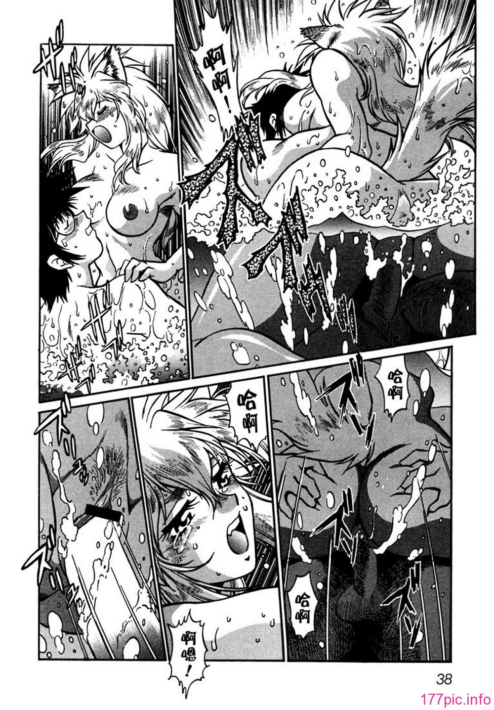 ogin 040