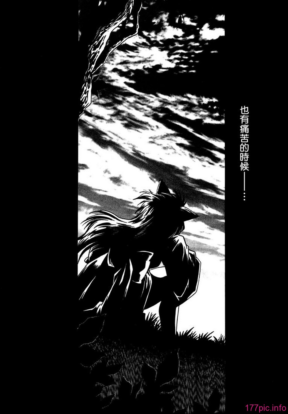 ogin 074