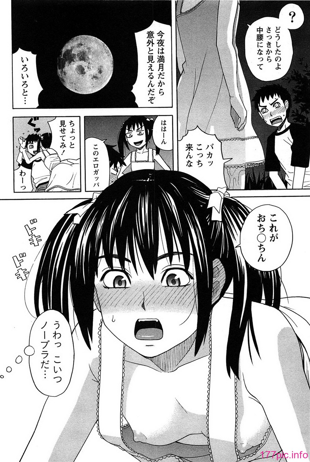 160_hanamaru_160