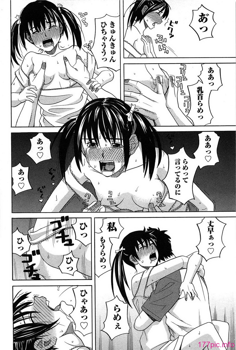 168_hanamaru_168