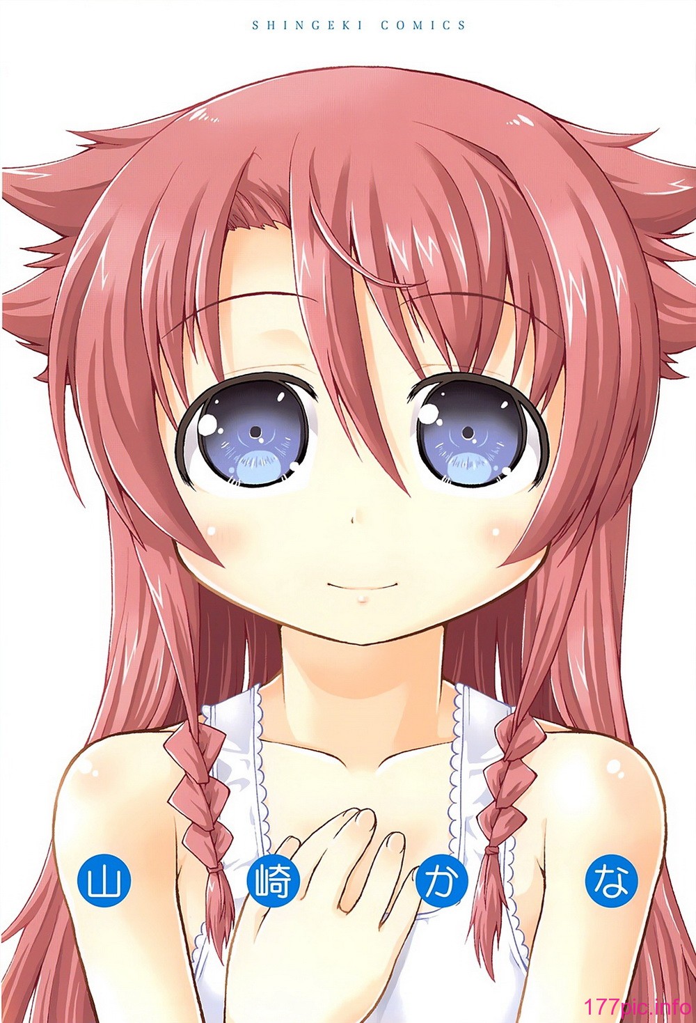 A_004(png)