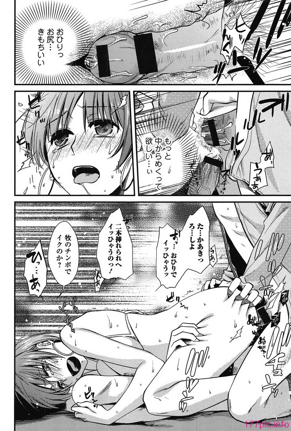 torokano_132