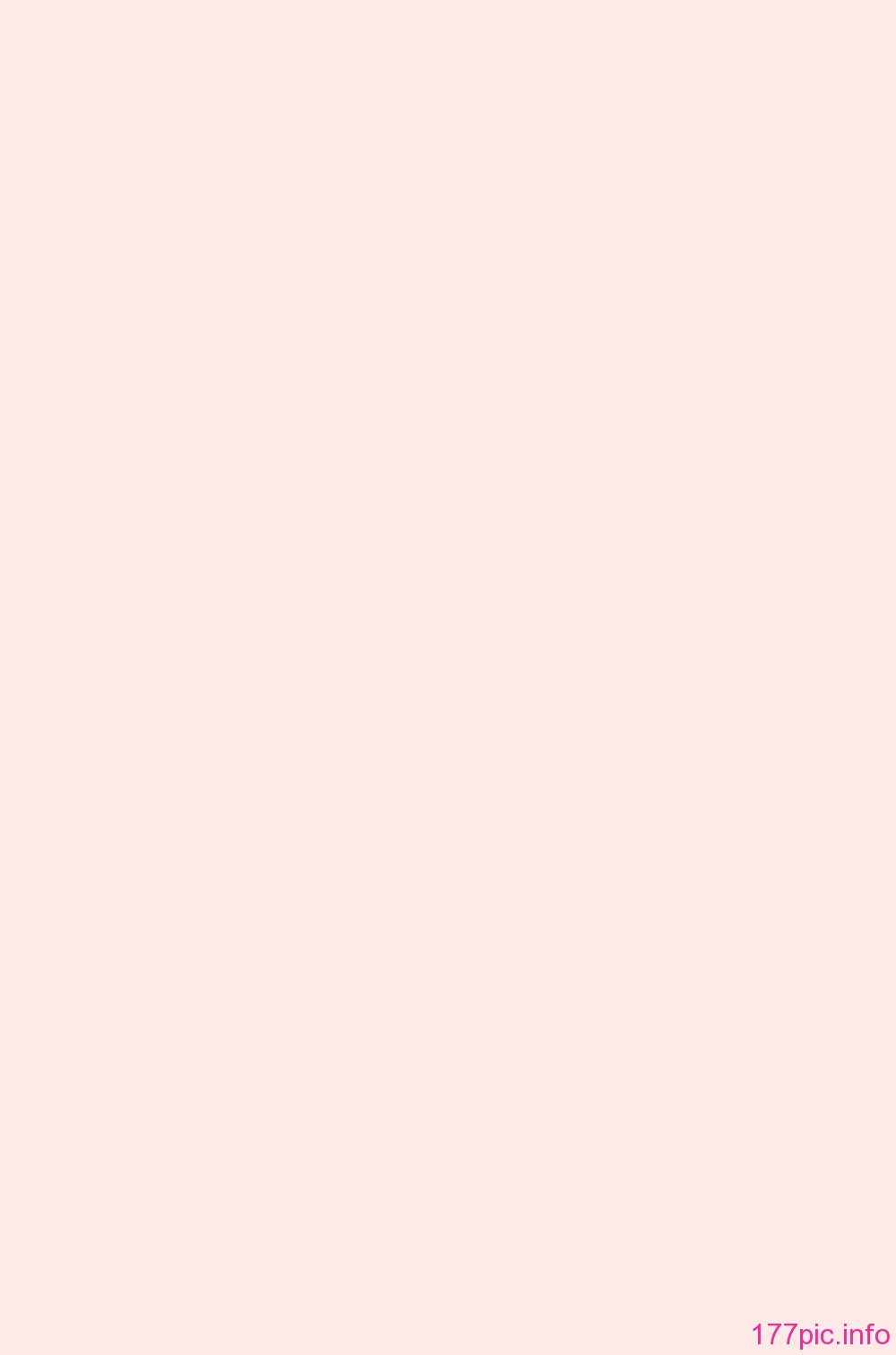 WaniSP274_000d_LiningPage