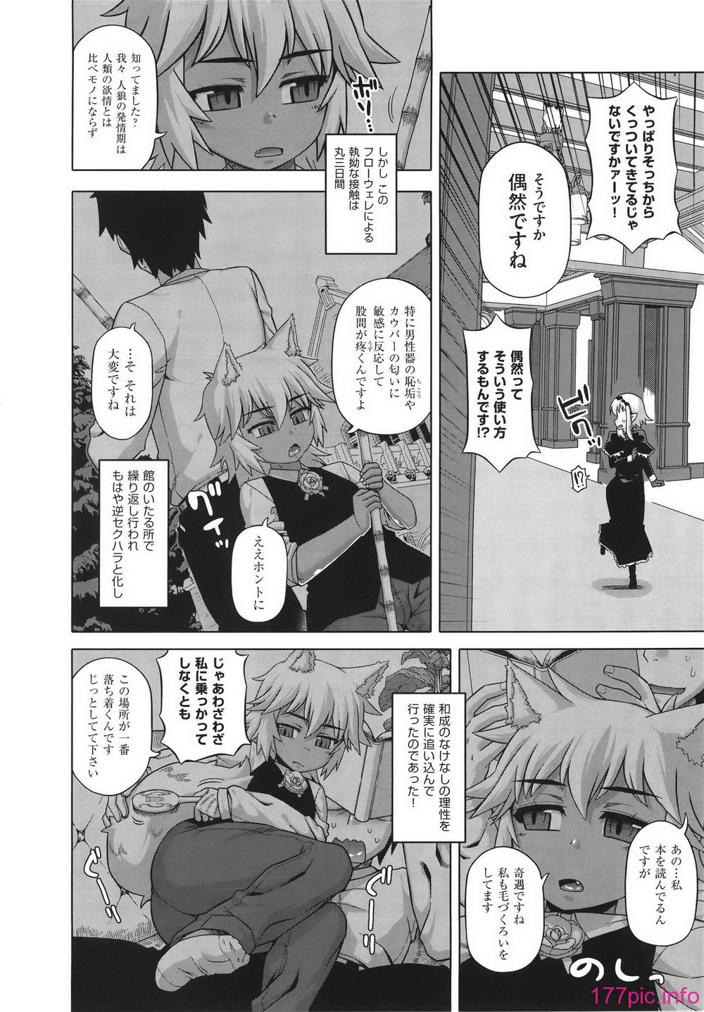 WaniSP274_094