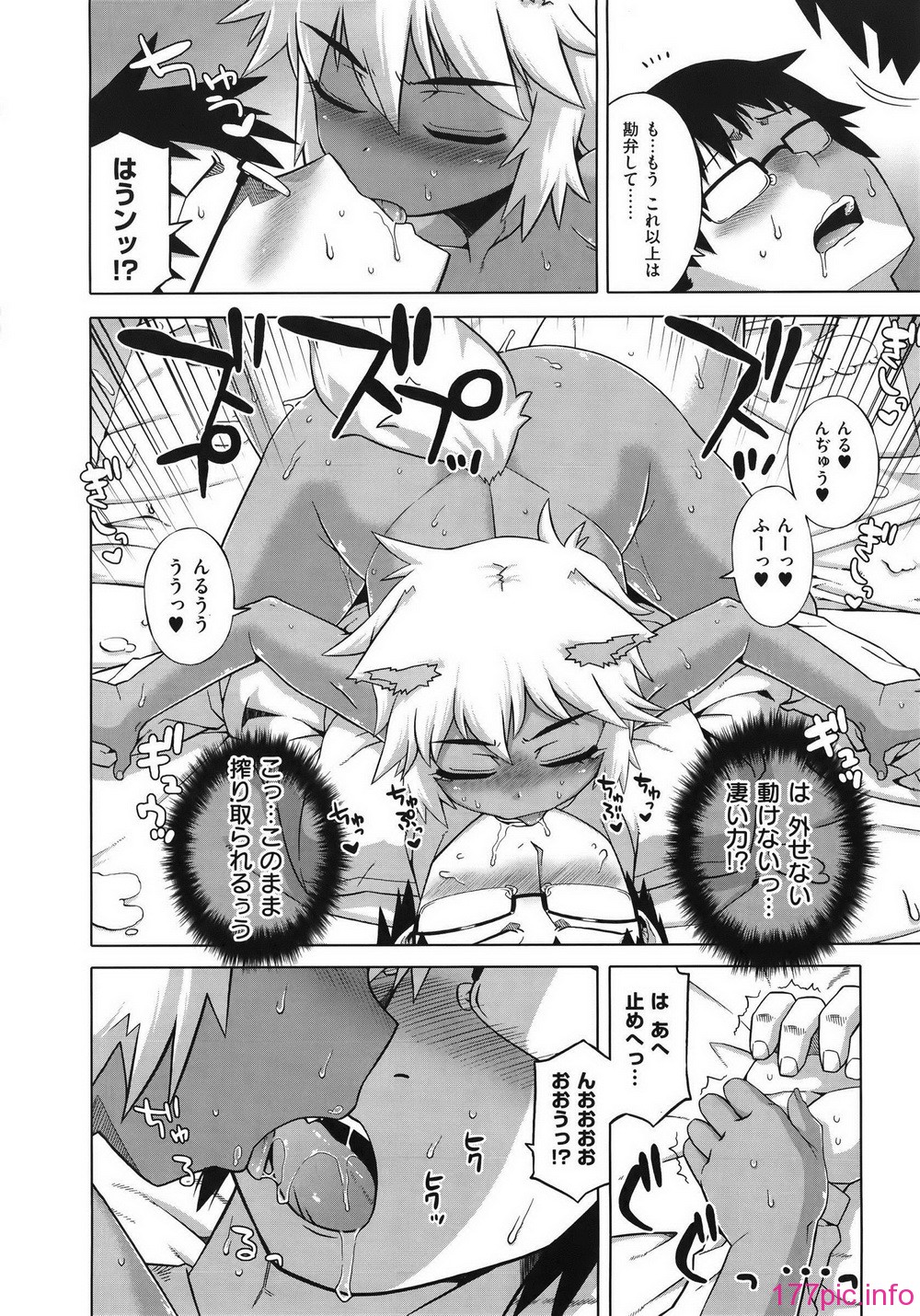 WaniSP274_106
