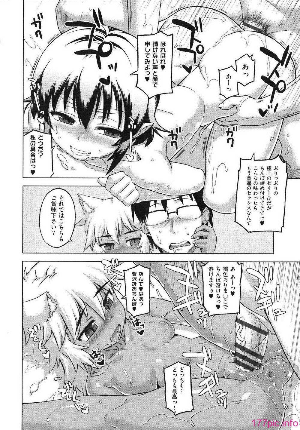 WaniSP274_126