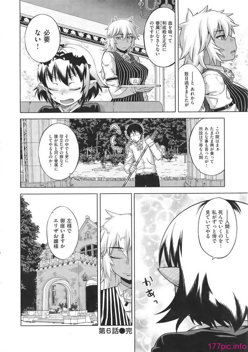 WaniSP274_132