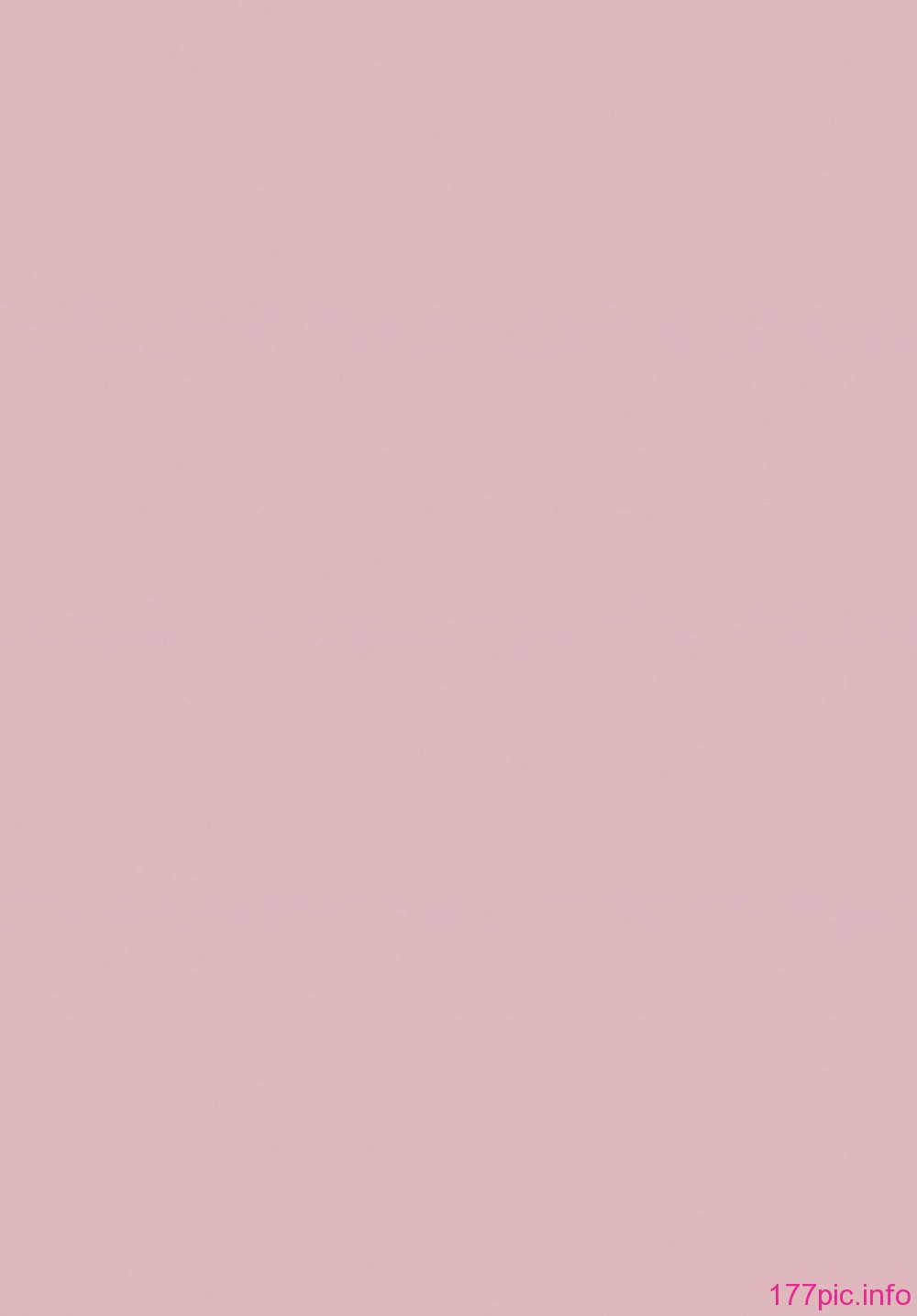 0006