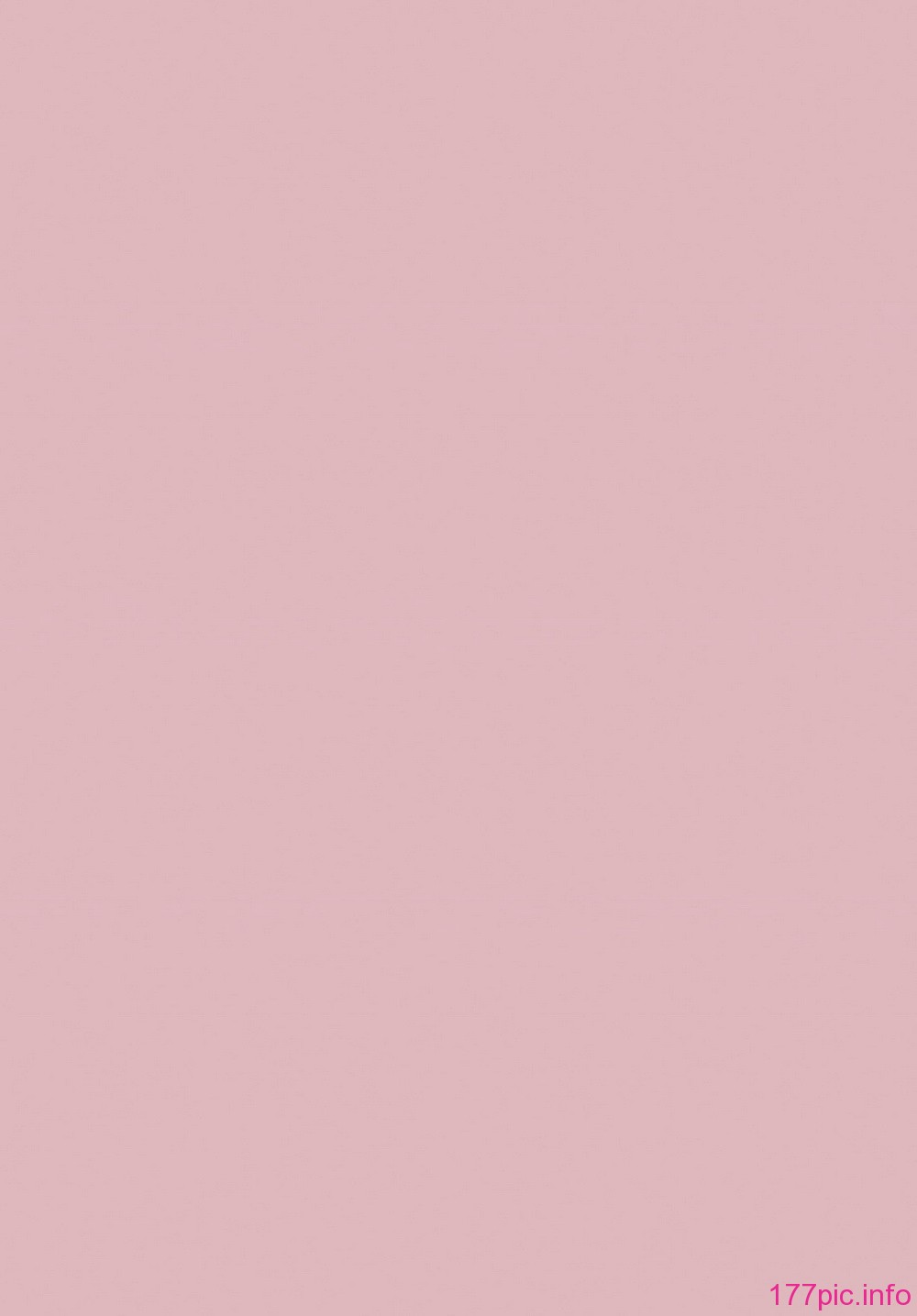 0204