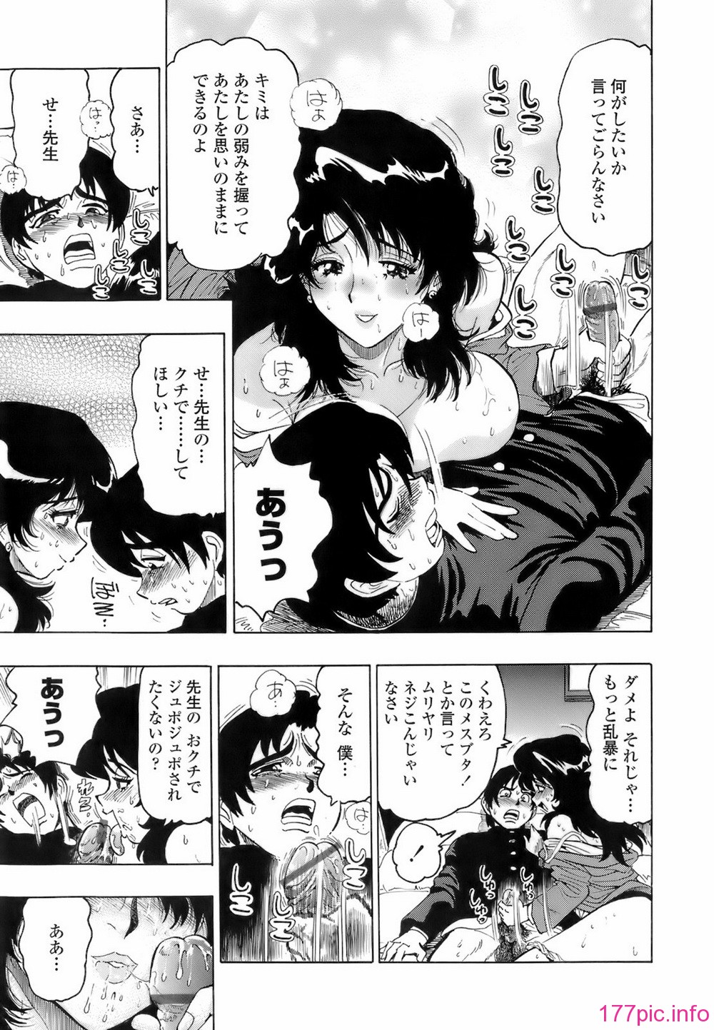 img (15)