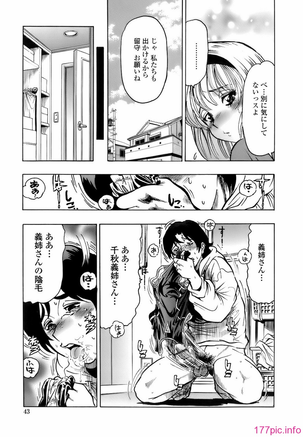 img (42)