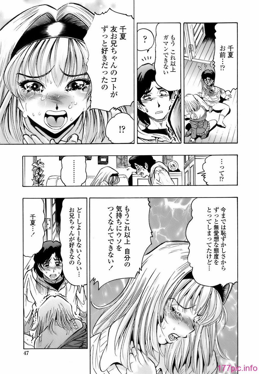 img (46)