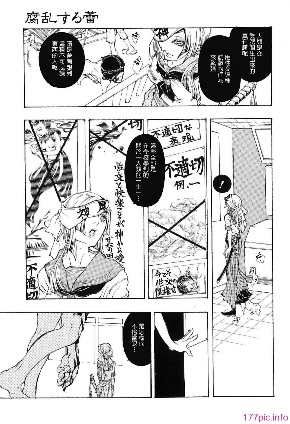 img (129)