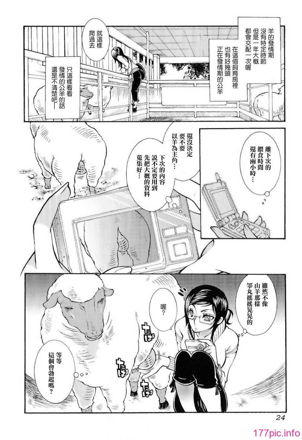 img (24)