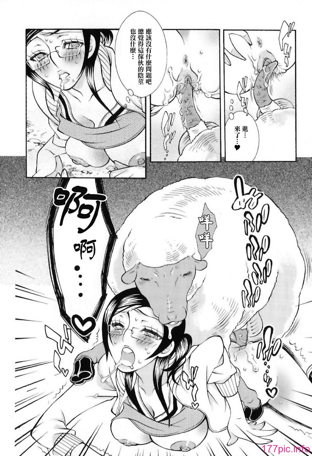 img (30)