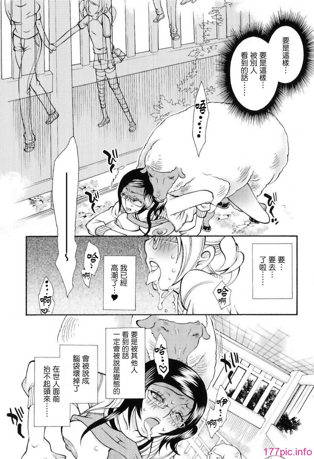 img (34)