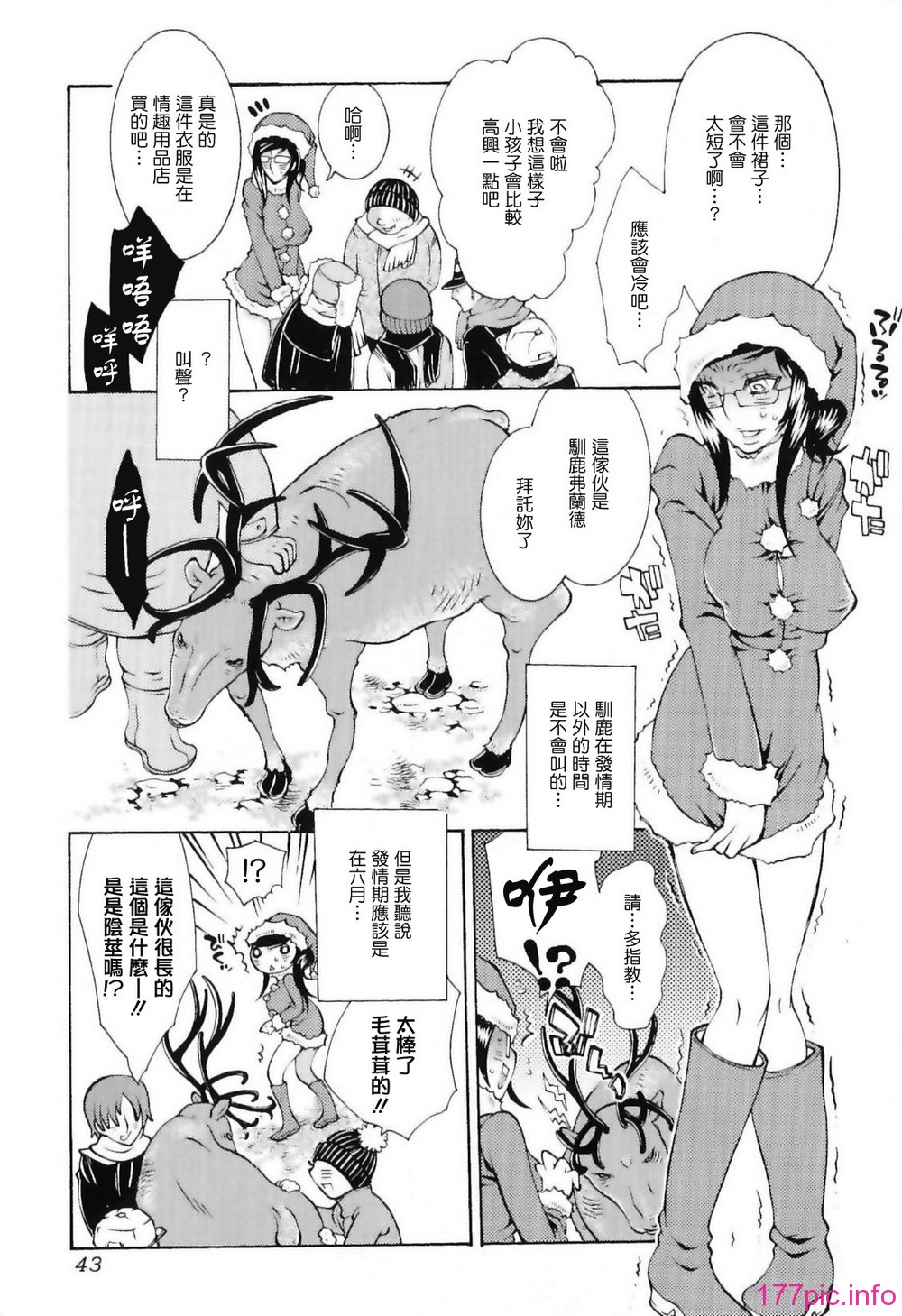 img (43)