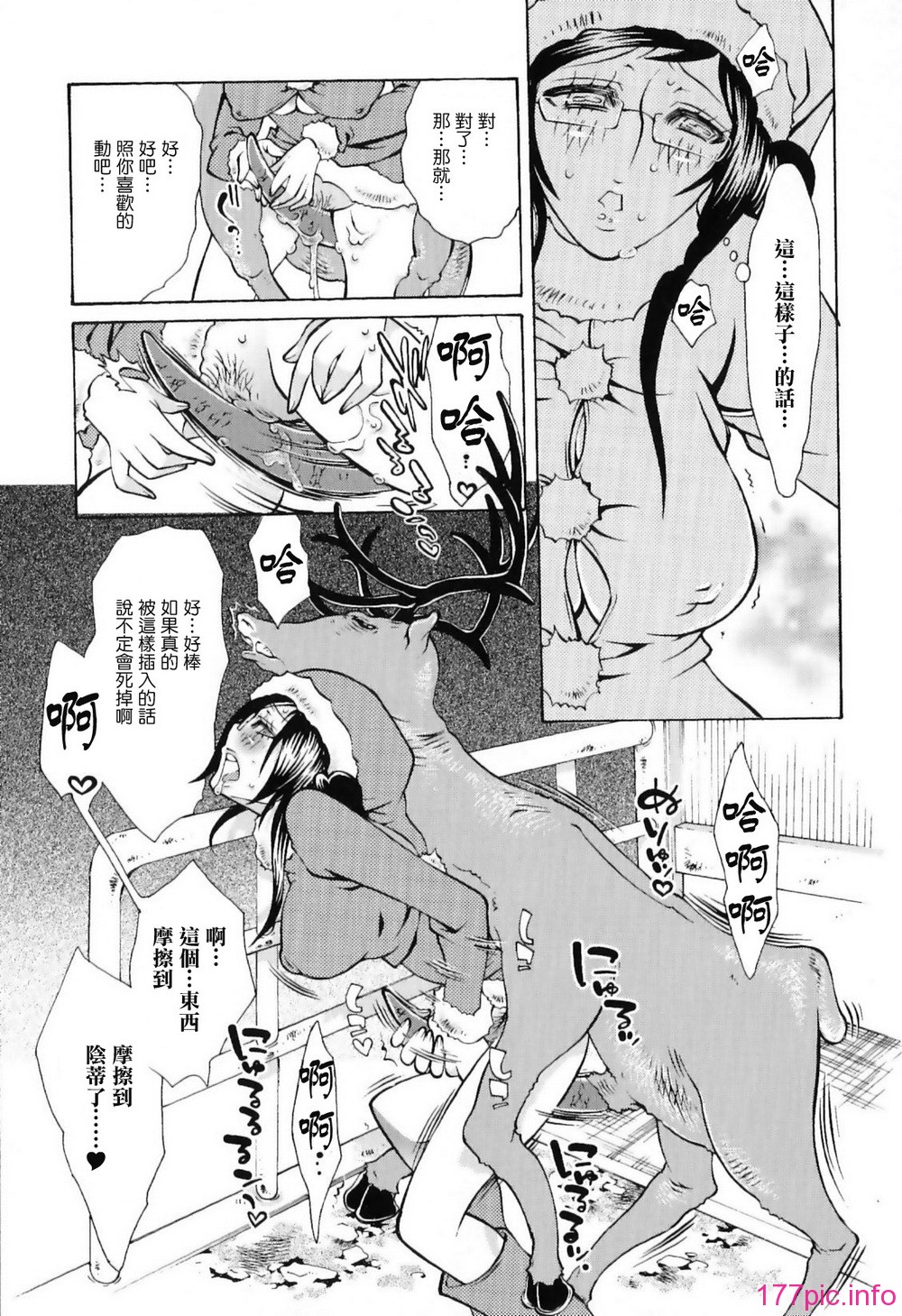 img (47)