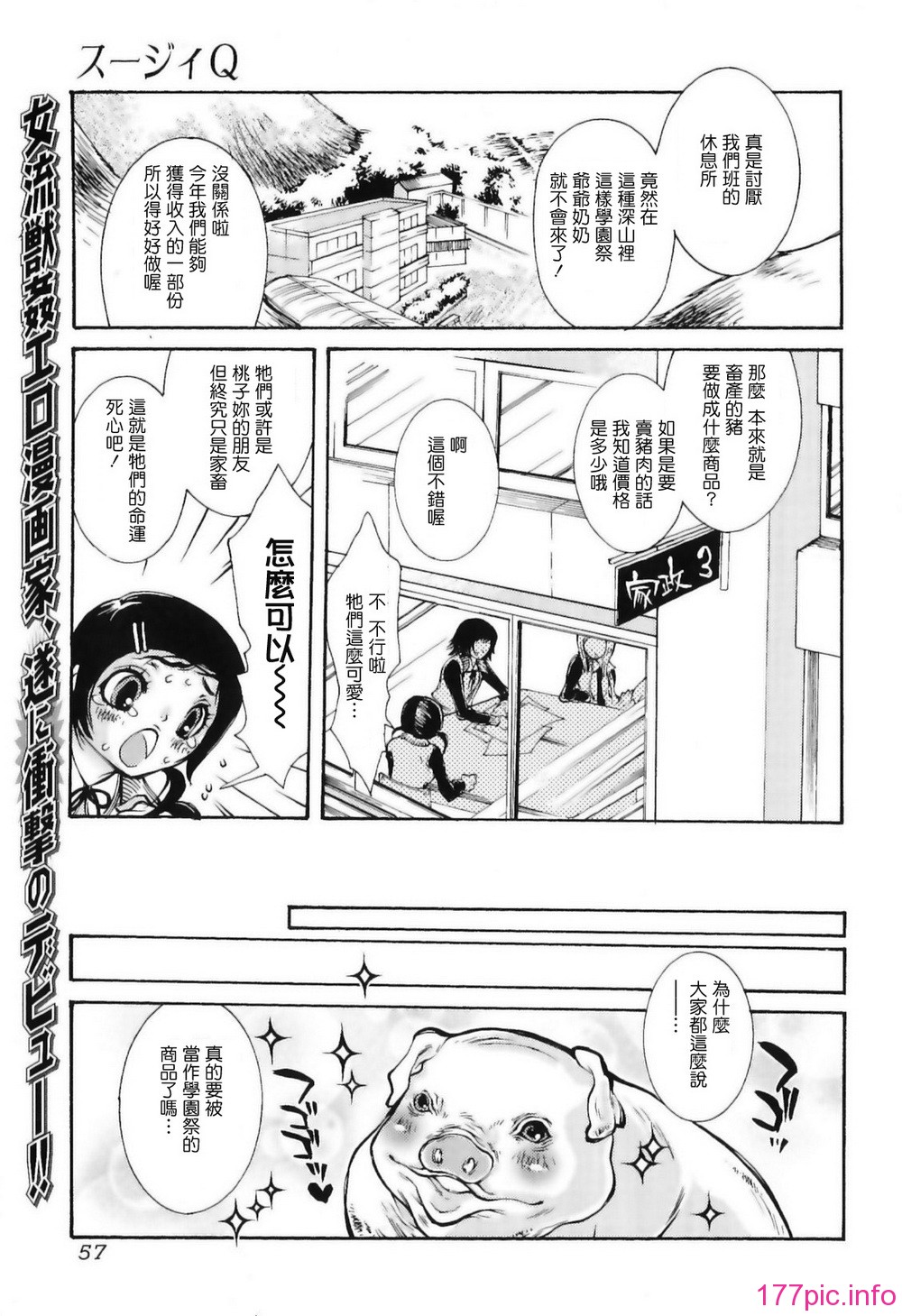 img (57)