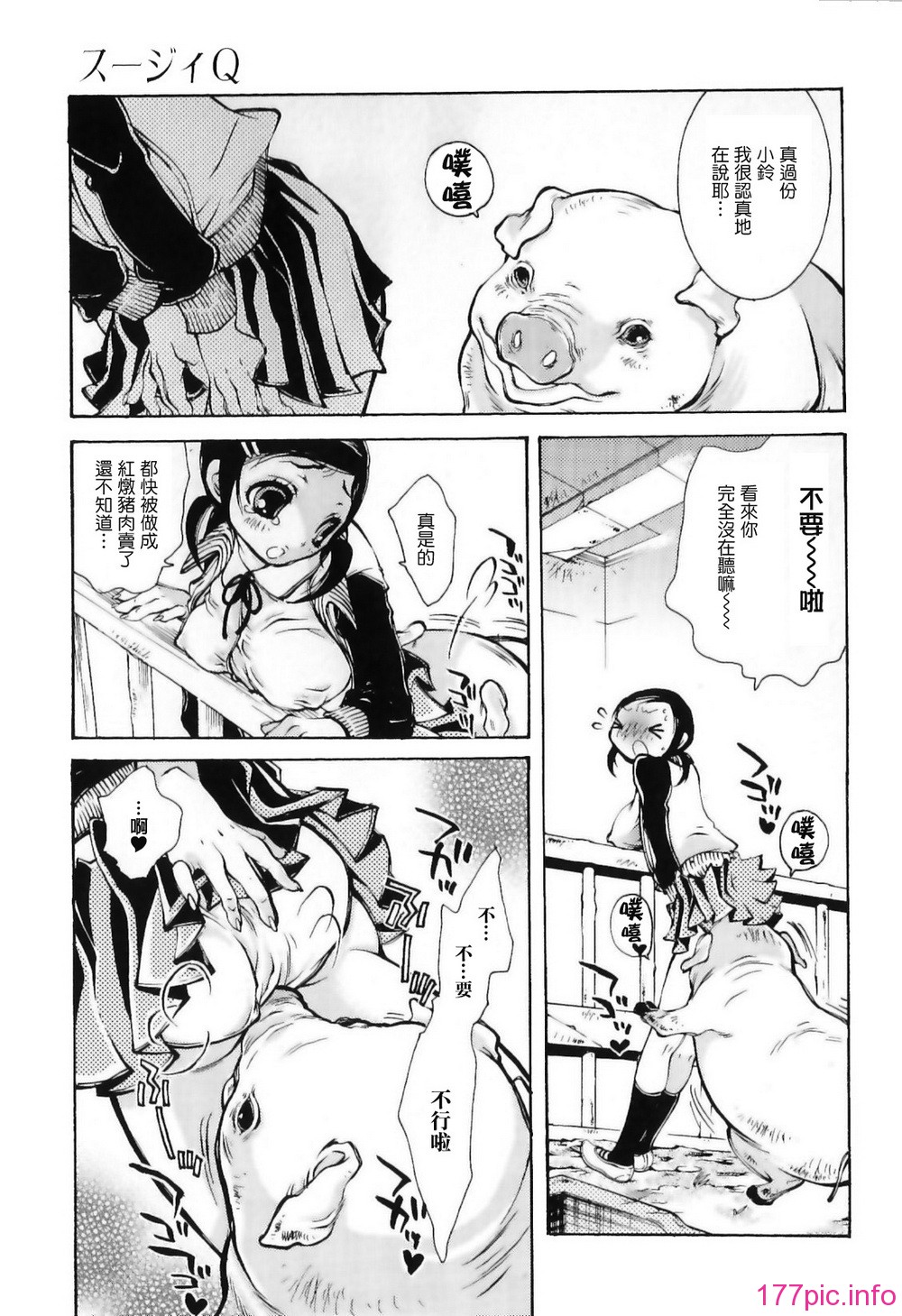img (59)
