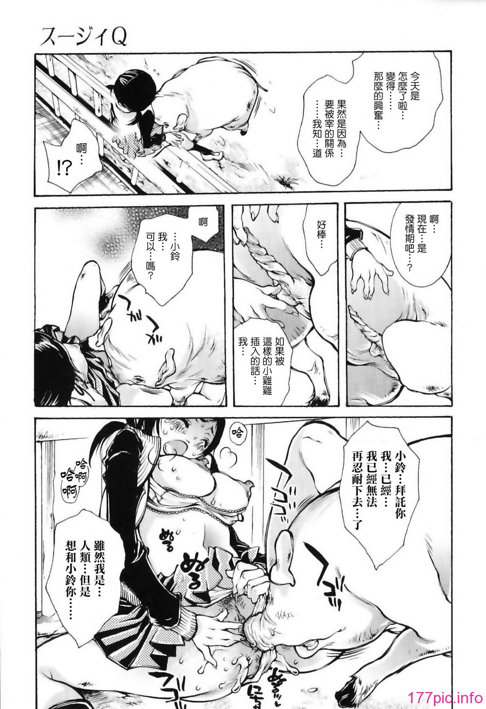 img (61)